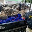 PRF e Polícia Civil apreendem 625 kg de maconha e prendem dois homens em São Luiz Gonzaga