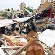 Mortos na Venezuela por terremotos sobem para 2.645