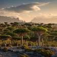 Esta ilha, reconhecida como patrimônio Mundial pela UNESCO, parece um planeta alienígena