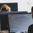 Febre da engenharia de prompts acabou: agora, a engenharia de loops está em alta