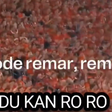'Pode remar': música do Boi Garantido viraliza como provocação à Noruega antes de jogo da Copa