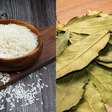 Folha de louro no arroz: saiba como ela ajuda a preservar alimentos