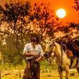 Bem antes de 'o agro é pop', o maior autor de remakes da Globo: como Benedito Ruy Barbosa se consagrou no TOP1 de novas versões de novelas originais com seu realismo rural incomparável
