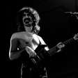 5 músicos que odiavam Frank Zappa