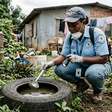 Dourados supera 4,8 mil casos confirmados de chikungunya