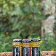 Mel de abelhas nativas: energia natural para quem corre