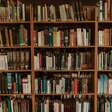 Suspense, ficção científica, romance e mais: 12 livros escritos por mulheres para ler em julho
