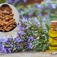 Óleo de alecrim para o cabelo: benefícios, como usar e o que diz a ciência