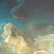 Cientistas lançaram uma vaca nas profundezas do mar da China e descobriram oito convidados inesperados no banquete