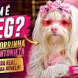 Quem é Meg? Conheça a cachorrinha que dá vida à Maria Antonieta em Quem Ama Cuida