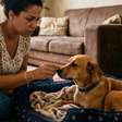 Focinho quente significa febre? O que realmente indica que o cachorro está doente