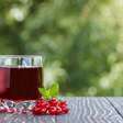Suco de cranberry pode potencializar o efeito de antibióticos para infecção urinária