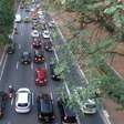 Quais as cores de carros preferidas dos brasileiros?