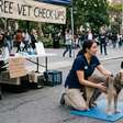 Prefeitura de Parauapebas oferece atendimento veterinário gratuito para pets