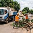 Prefeitura de Palmas retira 396 toneladas de entulho e divulga cronograma de limpeza