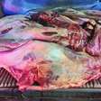 PRF apreende em Garanhuns 800 kg de carne sem condições de higiene que seria vendida no Recife