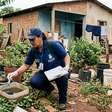 Dourados zera novos casos confirmados de chikungunya, mas mantém alerta de epidemia