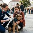 Itabuna inicia vacinação antirrábica para cães e gatos; veja calendário