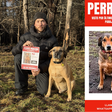 Cachorro 'frentista' famoso na internet desaparece durante viagem à Patagônia; família mobiliza buscas