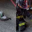 Bombeiros usam máscara de oxigênio em pombo que passou mal após inalar fumaça nos EUA