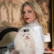 Maria Antonieta, a cadela de 'Quem Ama Cuida', conquista fãs com estilo e charme