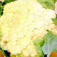 Receita de couve-flor feita de um jeito super diferente tipo pizza rápida, uma gostosura