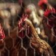 A religião por trás da Korin, pioneira na produção de frango orgânico no Brasil
