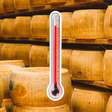 Queijo parmesão corre risco de extinção devido ao calor extremo