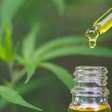 Estudo: Cannabis medicinal reduz uso de antidepressivos e opioides