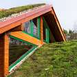 Telhado verde: como funciona a cobertura sustentável que ajuda a refrescar a casa