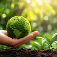 Avant amplia iniciativas de sustentabilidade