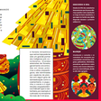 Livro gratuito sobre a castanheira-da-amazônia é semifinalista do Jabuti