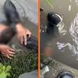 Vídeo: Adolescente tenta se esconder da polícia em esgoto mas é apreendido com arma e drogas em PE