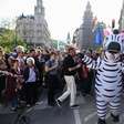 Hungria investiga rebanho de zebras pertencente a um aliado do ex-premiê Orbán