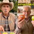 Perfis de nutrição fake, criados com IA, invadem as redes sociais e espalham informações erradas