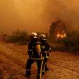 Incêndios na França: mais de 70 mil hectares foram queimados, um recorde que continua a crescer