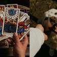 Pet Tarot: nova tendência busca entender os sentimentos dos bichinhos