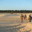 Marrocos precisa de mais colheitas para competir com a Espanha e, por isso, vai irrigar o Deserto do Saara