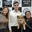 Vídeo: Cachorro é sequestrado em porto alegre durante passeio com tutor em bairro nobre