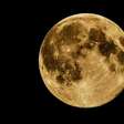 Lua do Cervo: por que a Lua Cheia de 29/07 pesa mais que as outras