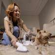Como manter a casa limpa com pets: dicas e soluções práticas
