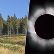 Um estudo diz que as árvores "sentem" eclipses com 14 horas de antecedência e a explicação é mais simples do que parece