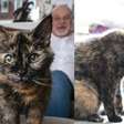 Gata com idade equivalente a 146 anos humanos impressiona com rotina inusitada