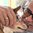 Como os animais de estimação podem transformar a vida e fortalecer os vínculos familiares