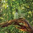 Natura e Anitta lançam linha com Menta Amazônica e foco no autocuidado