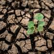 Devido às mudanças climáticas, até 2100 perderemos o equivalente ao que 2 bilhões de pessoas consomem anualmente em colheitas
