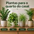 Bem-estar: 12 plantas para quarto de casal que podem transformar o ambiente