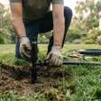 Quanto custa automatizar a irrigação do jardim e quanto essa mudança pode cortar de desperdício de água