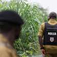 Como cartéis de droga do México terceirizaram laboratórios de metanfetamina na África