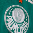 A declaração do ex-lateral Robeto Carlos direcionada ao Palmeiras
